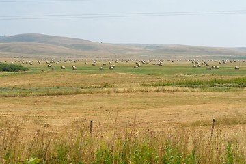 Image showing summer landscape