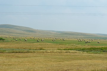 Image showing summer landscape