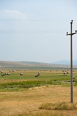 Image showing summer landscape