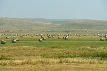 Image showing summer landscape