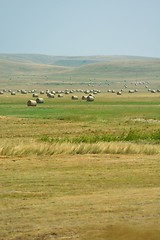 Image showing summer landscape