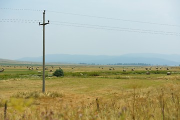 Image showing summer landscape