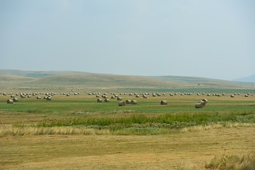 Image showing summer landscape