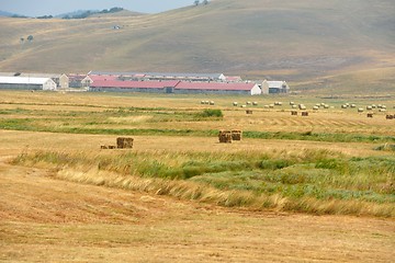 Image showing summer landscape