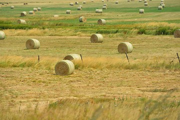 Image showing summer landscape