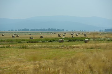 Image showing summer landscape