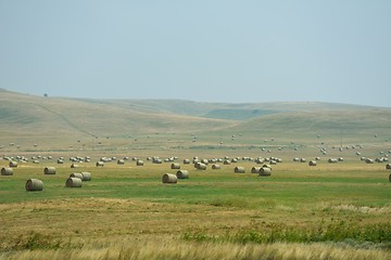 Image showing summer landscape