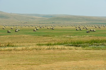 Image showing summer landscape