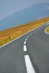 Image showing road through the green field