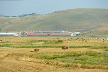 Image showing summer landscape