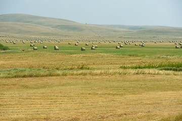 Image showing summer landscape