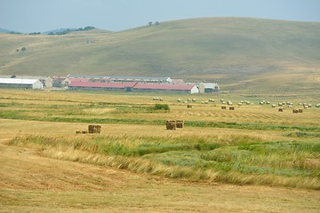 Image showing summer landscape