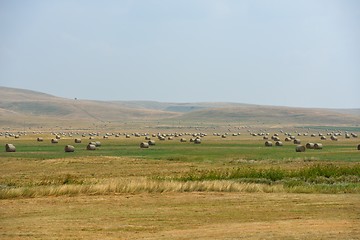 Image showing summer landscape