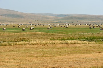 Image showing summer landscape