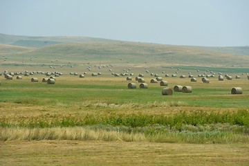 Image showing summer landscape