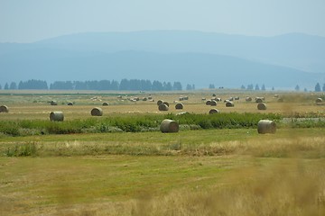 Image showing summer landscape