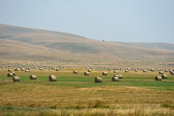 Image showing summer landscape