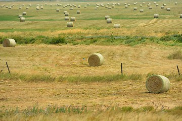 Image showing summer landscape