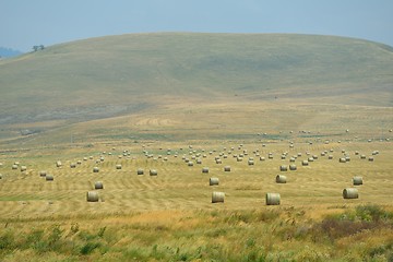 Image showing summer landscape