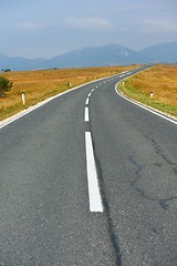 Image showing road through the green field