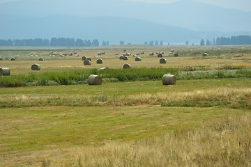 Image showing summer landscape