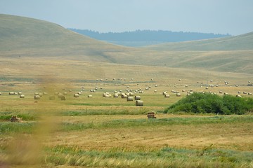 Image showing summer landscape