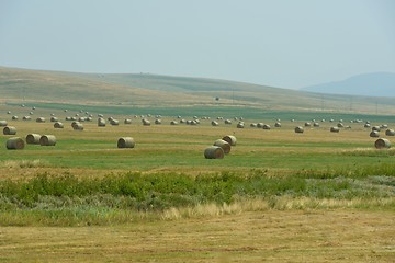 Image showing summer landscape