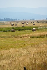 Image showing summer landscape