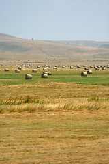 Image showing summer landscape