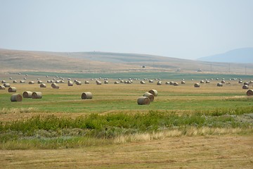 Image showing summer landscape