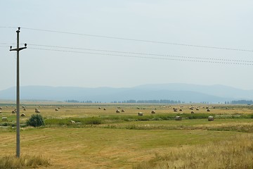 Image showing summer landscape