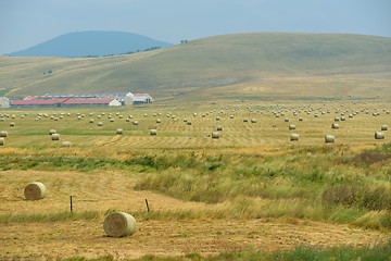 Image showing summer landscape