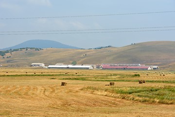 Image showing summer landscape