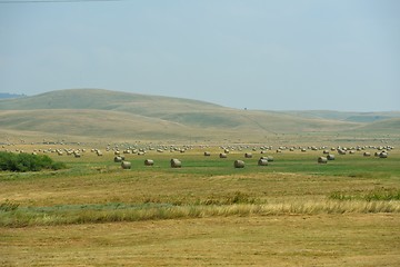 Image showing summer landscape