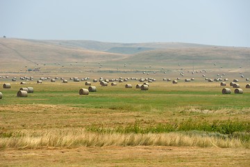 Image showing summer landscape