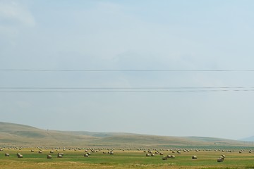 Image showing summer landscape