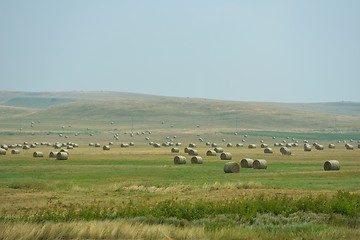 Image showing summer landscape