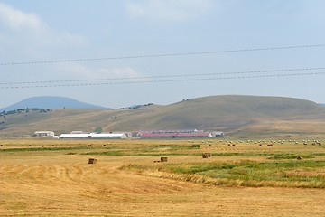 Image showing summer landscape