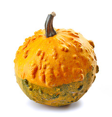 Image showing pumpkin on a white background