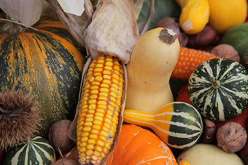 Image showing Autumn Harvest