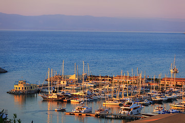 Image showing Port in Tropea