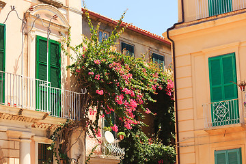 Image showing Architecture in Tropea