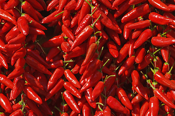 Image showing Calabrian red pepperoncino