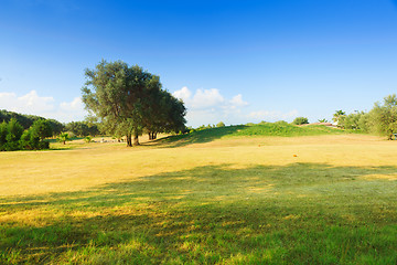 Image showing Golf course