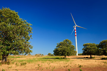 Image showing Aeolian energy in Calabria