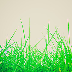 Image showing Retro look Grass meadow weed