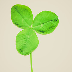 Image showing Retro look Shamrock