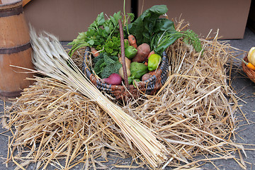 Image showing Autumn Harvest