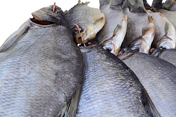 Image showing Salted and dried river fish on a white background.