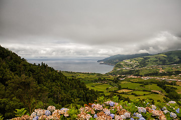 Image showing The landscapen on Sao Miguel